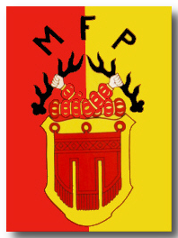 MFP Tübingen Fahne